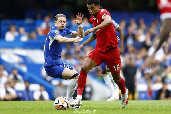  布莱顿海鸥展翅高飞，莫派梅开二度助球队击败西汉姆联